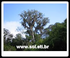 Jardim Zoológico da Cidade de Curitiba 40