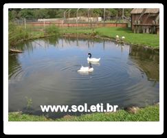 Jardim Zoológico da Cidade de Curitiba 6