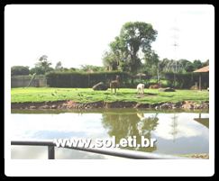 Jardim Zoológico da Cidade de Curitiba 7