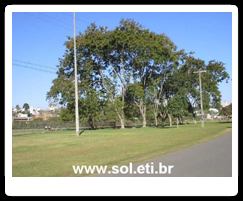 Parque Barigui da Cidade de Curitiba 24
