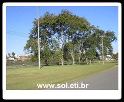 Parque Barigui da Cidade de Curitiba 24