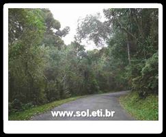 Parque Passaúna da Cidade de Curitiba 8