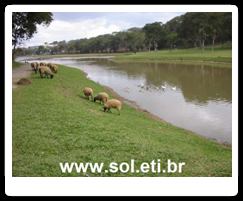 Parque São Lourenço da Cidade de Curitiba 14