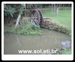 Parque São Lourenço da Cidade de Curitiba 16