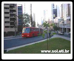 Praça do Japão da Cidade de Curitiba 20