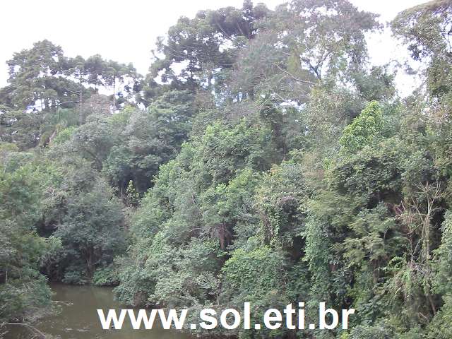 Foto Ópera de Arame da Cidade de Curitiba 14