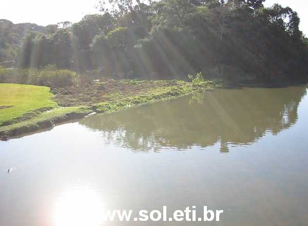 Foto Parque Barigui da Cidade de Curitiba 12