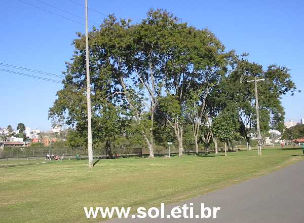 Foto Parque Barigui da Cidade de Curitiba 24