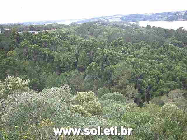 Foto Parque Passaúna da Cidade de Curitiba 5