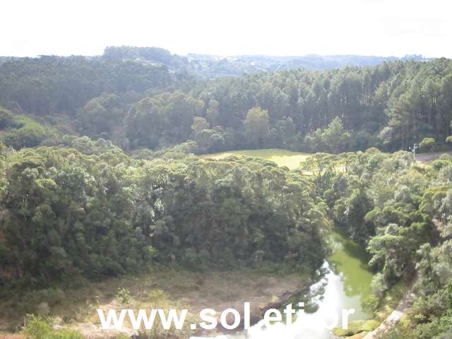 Foto Parque Tanguá da Cidade de Curitiba 3