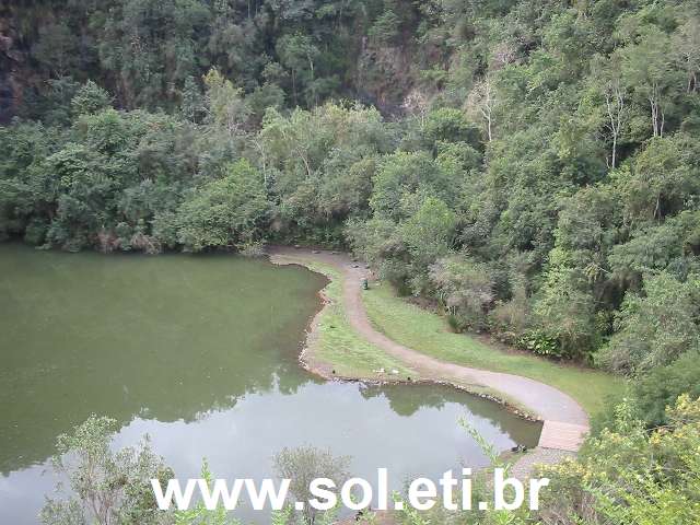 Foto da Universidade Livre do Meio Ambiente da Cidade de Curitiba 13