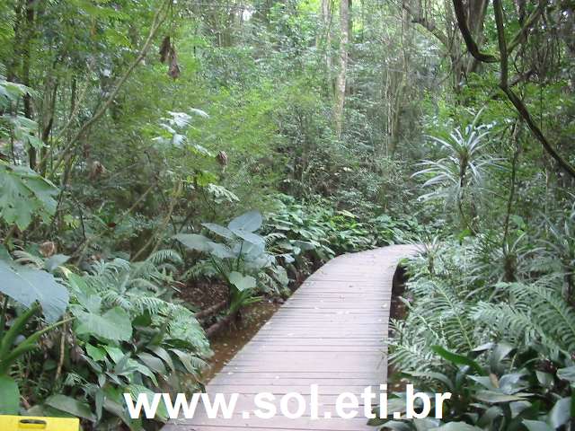 Foto da Universidade Livre do Meio Ambiente da Cidade de Curitiba 2