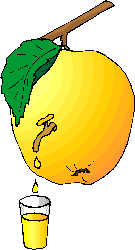 Suco Laranja