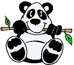 Urso Panda