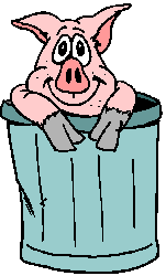 Porco Dentro Da Lata de Lixo