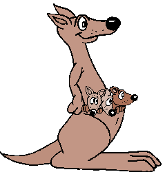 Canguru e Seus Filhotes