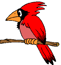 Pássaro Vermelho