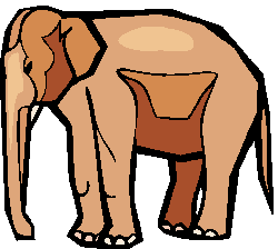 Elefante