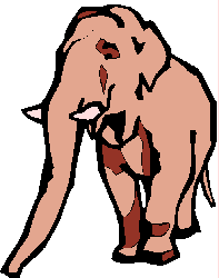 Elefante