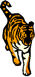 Tigre