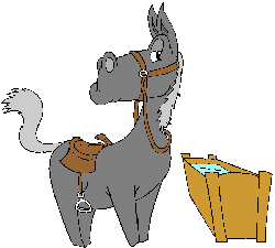 Cavalo Tomando Água