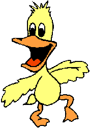 Pato Amarelo