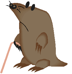 Marmota de Bengala
