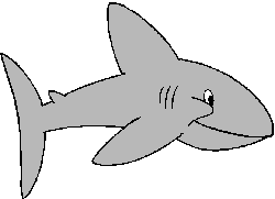 Tubarão Nadando