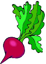 Frutas e Verduras