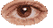 olhos1