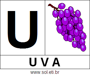 Letra U de Uva