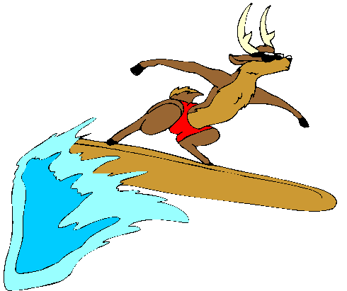 Rena Surfista De Natal.